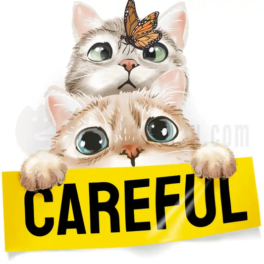 Design Vorschau Careful