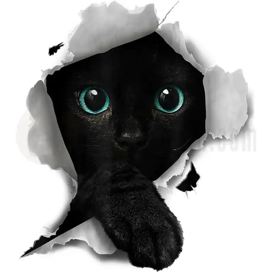 Design Vorschau Cat Torn