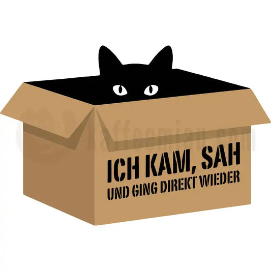Design Vorschau Ich kam, sah
