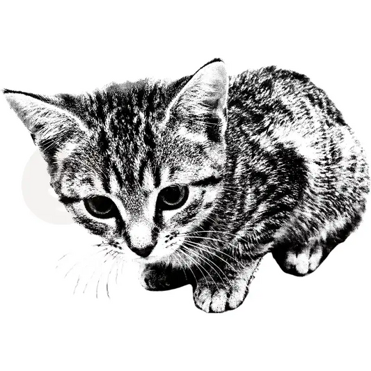 Design Vorschau Sweet Kitten