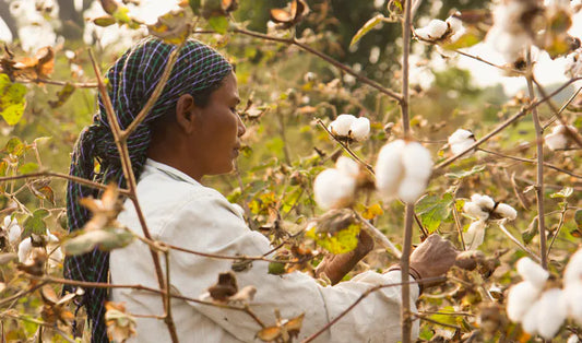 Textilien & Nachhaltigkeit: Was macht ein Shirt wirklich „bio“?