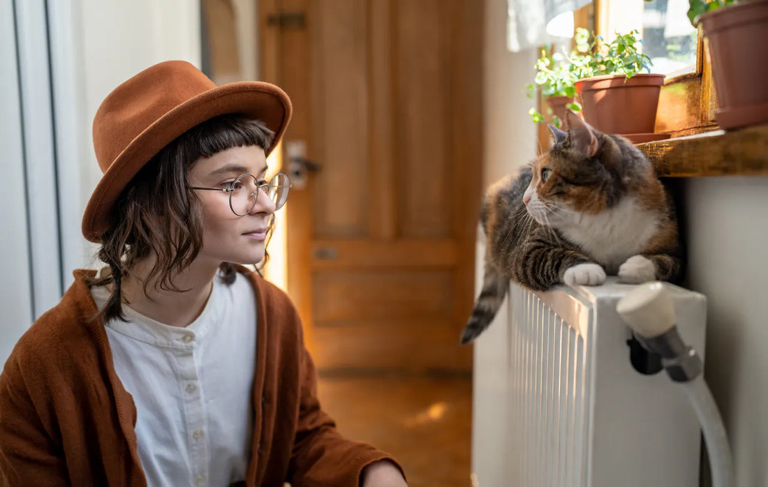 Wie uns Katzen jeden Tag inspirieren, besser zu leben