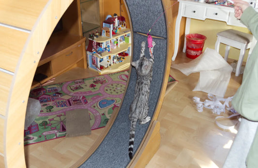 Naviconvex Katzenlaufrad XXL mit Coco