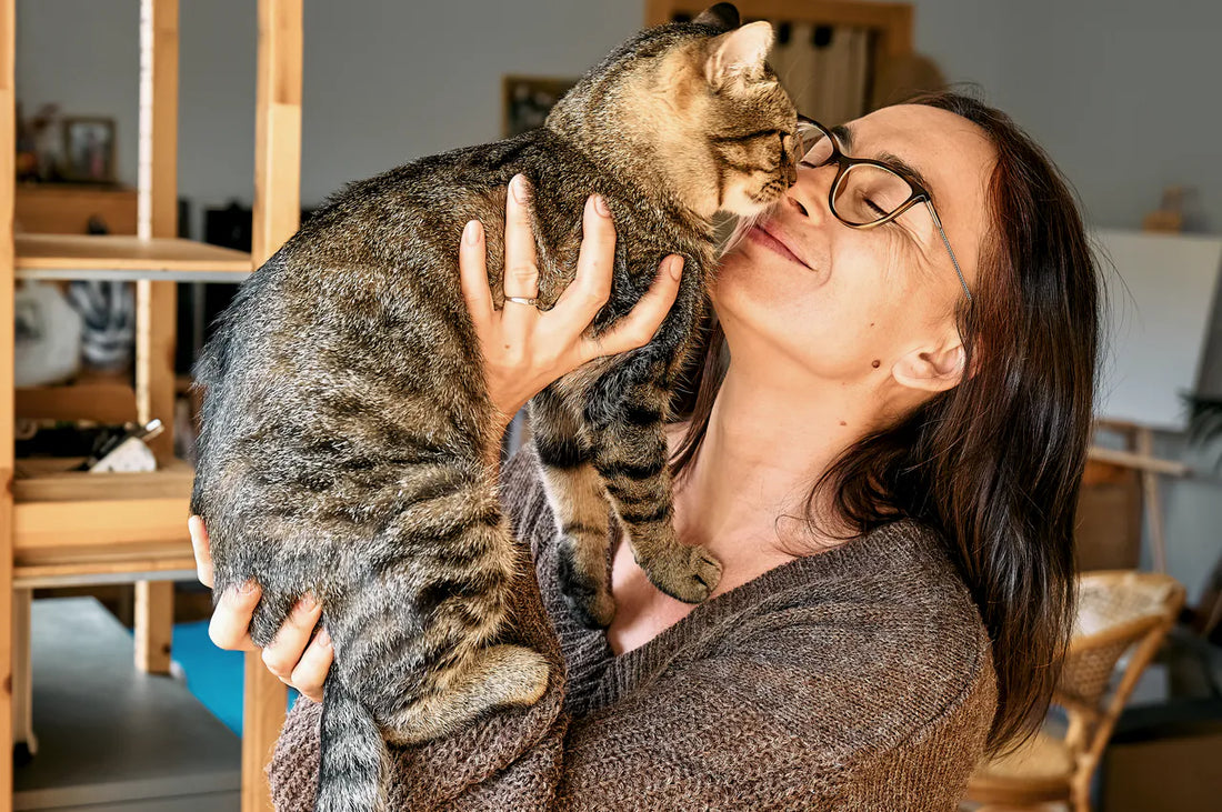 Ein Tag im Leben einer Katzenmama: Wie Samtpfoten unseren Alltag bereichern