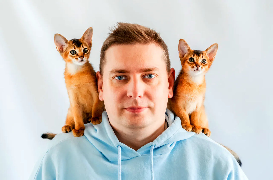 Guten Namen für Katzen