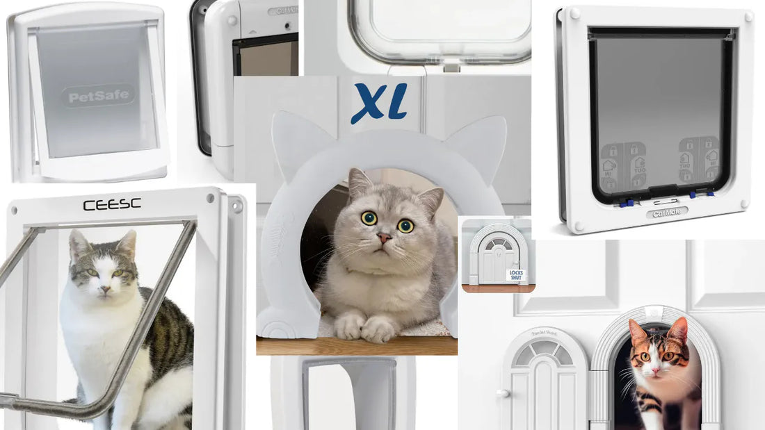 Die 8 besten Katzentüren - Günstig bis Microchip