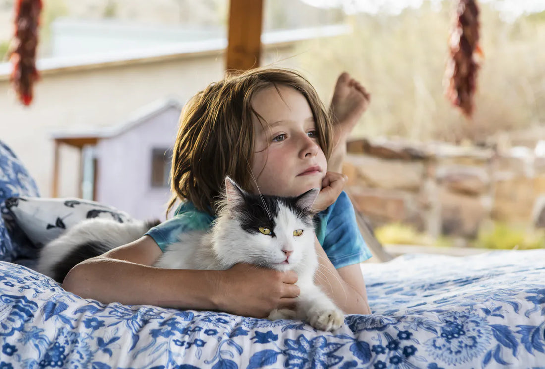 Katzen und Kinder: So werden Fellnasen und Nachwuchs beste Freunde