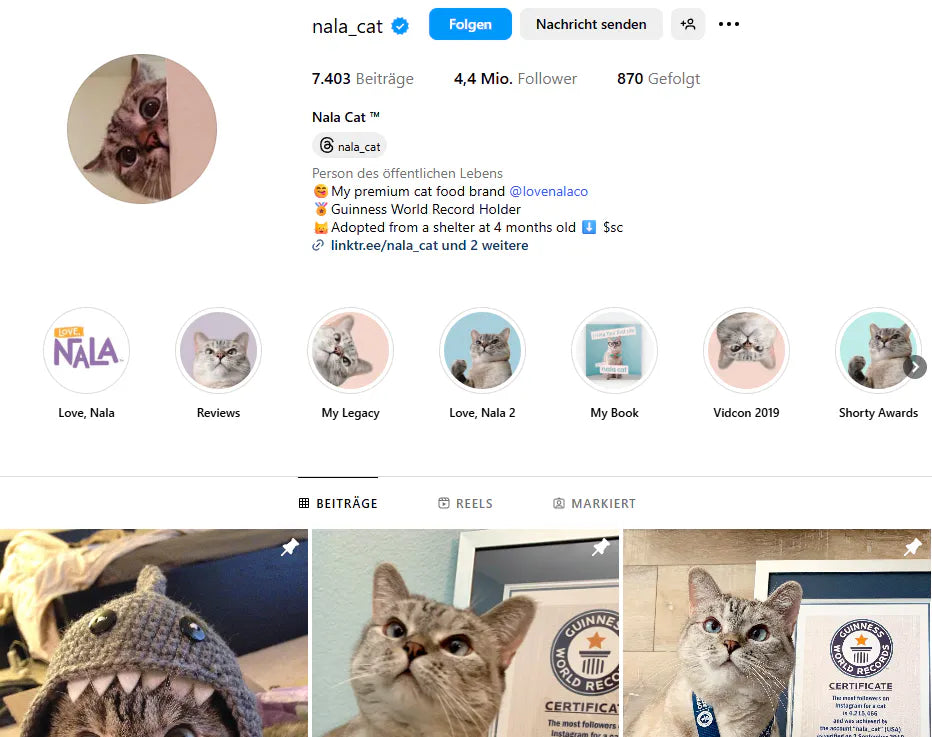 Katzen und Kaffee: Die besten Insta-Cats im Coffee-Setting