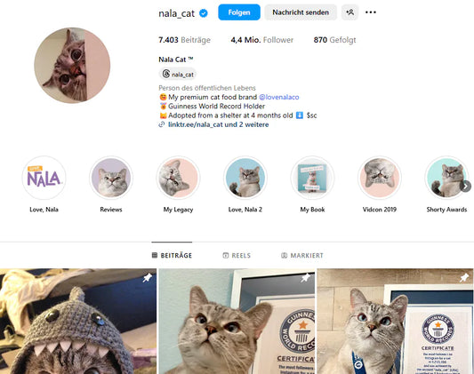 Katzen und Kaffee: Die besten Insta-Cats im Coffee-Setting