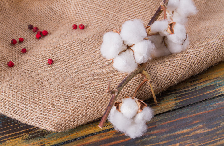 Bio & Fairtrade erklärt: Warum es bei KaffeeMiau nicht nur ums gute Gewissen geht