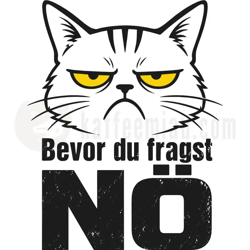 Design Vorschau Bevor du fragst, NÖ