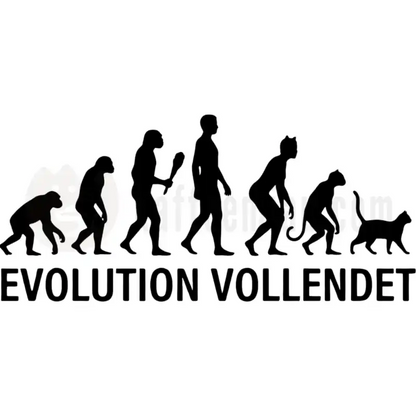 Design Vorschau Evolution