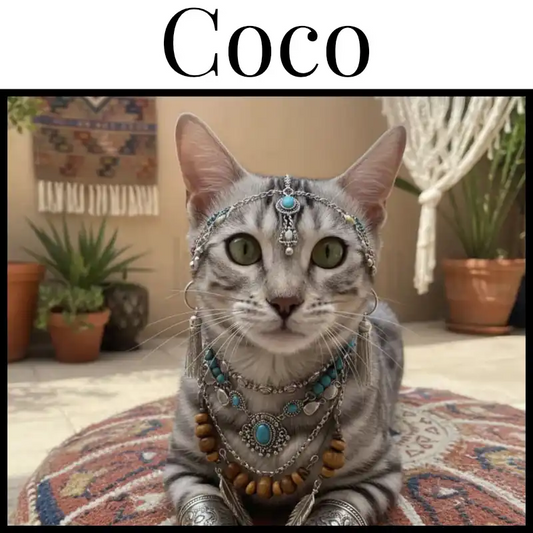 Design Vorschau Katze und Name