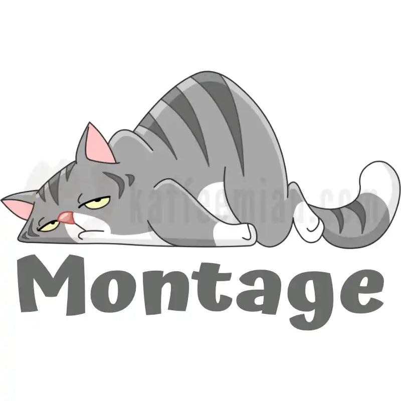 Design Vorschau Montage
