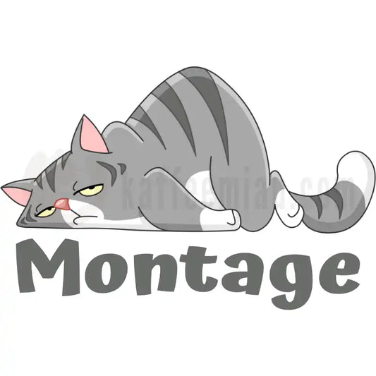 Design Vorschau Montage
