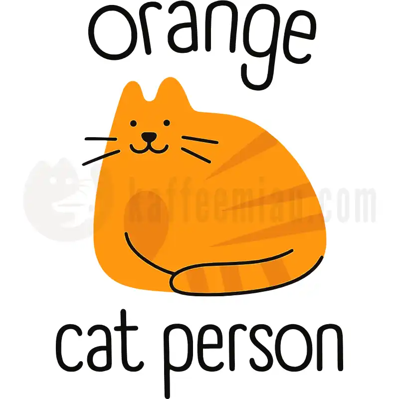 Design Vorschau Orange Cat Person