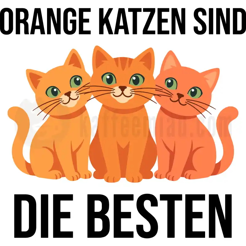 Design Vorschau Orange Katzen sind die besten