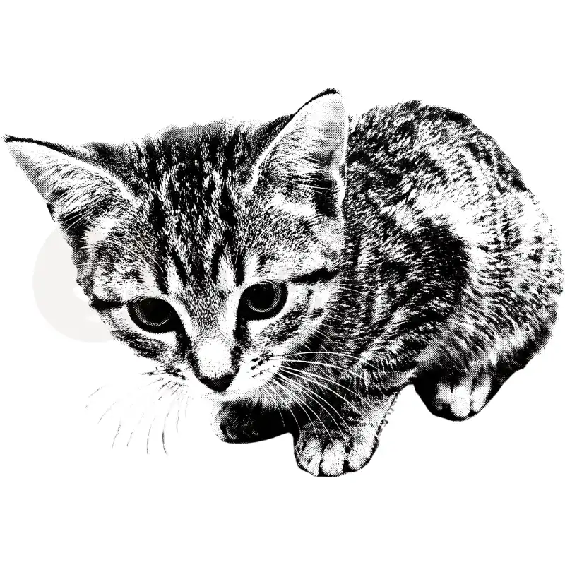 Design Vorschau Sweet Kitten