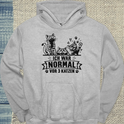 Hoodie - Vor 3 Katzen - Unisex - Katze Grau