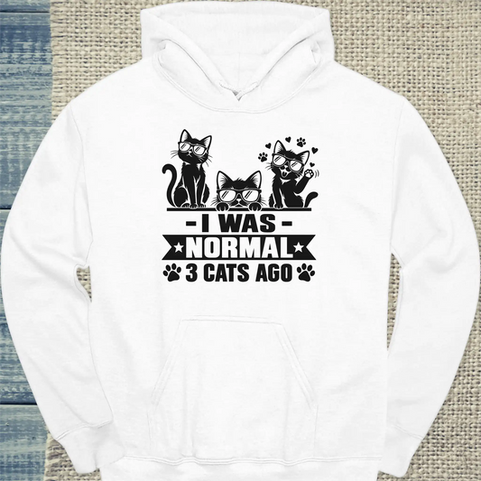 3 Cats Ago - Hoodie