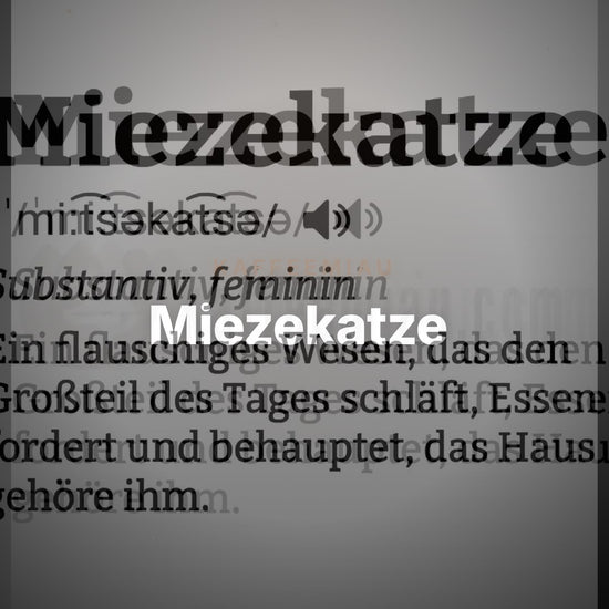 Miezekatze - T-Shirt – Clean Showcase