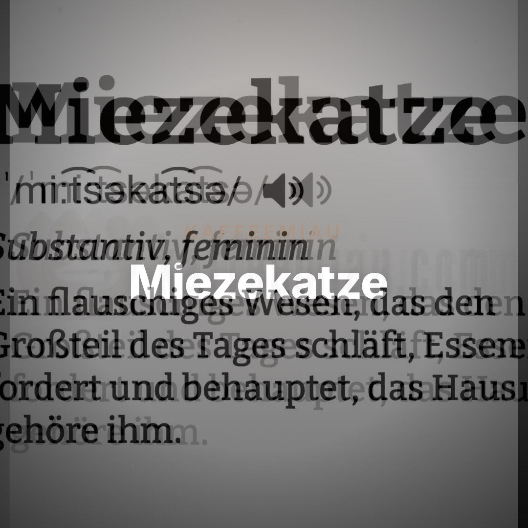 Miezekatze - T-Shirt – Clean Showcase
