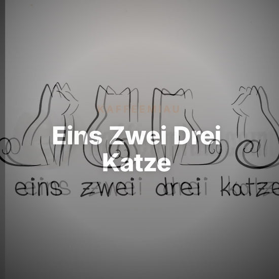 Eins Zwei Drei Katze - T-Shirt – Clean Showcase