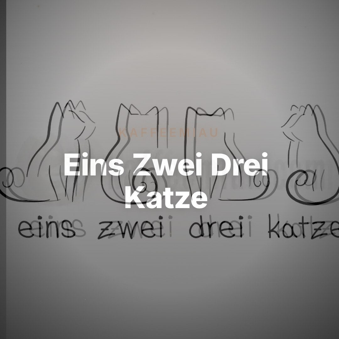 Eins Zwei Drei Katze - T-Shirt – Clean Showcase