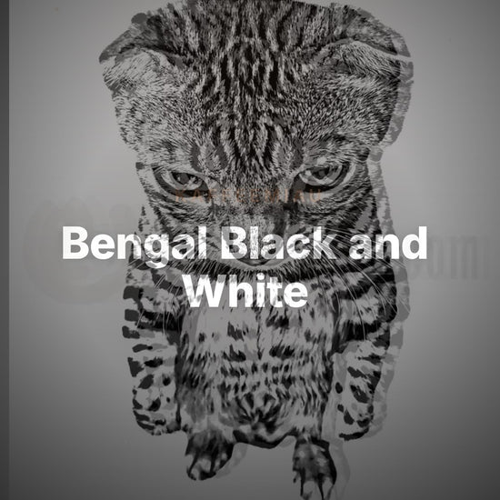 Bengal Black and White - T-Shirt – Clean Showcase