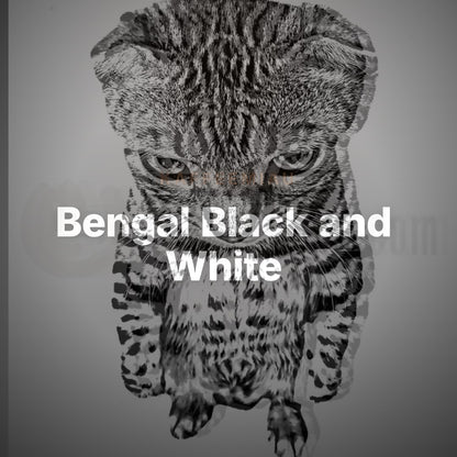 Bengal Black and White - T-Shirt – Clean Showcase