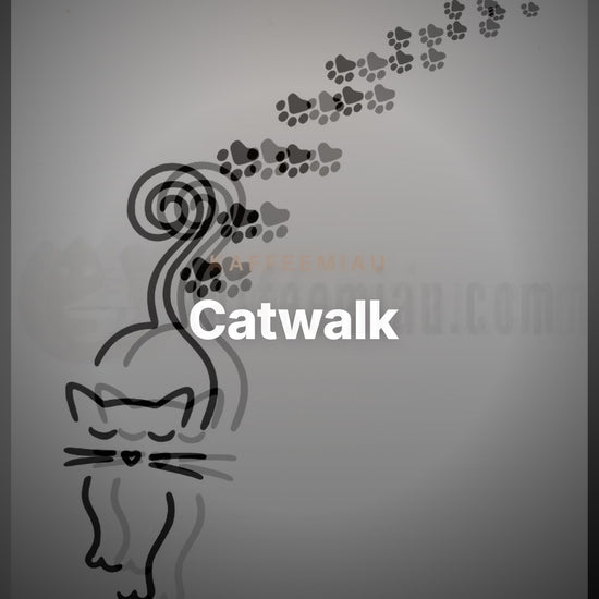 Catwalk - T-Shirt – Clean Showcase