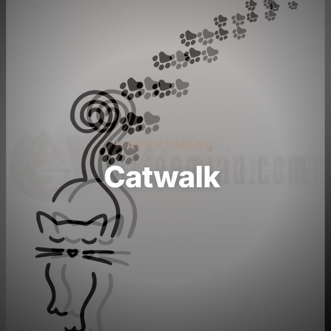 Catwalk - T-Shirt – Clean Showcase